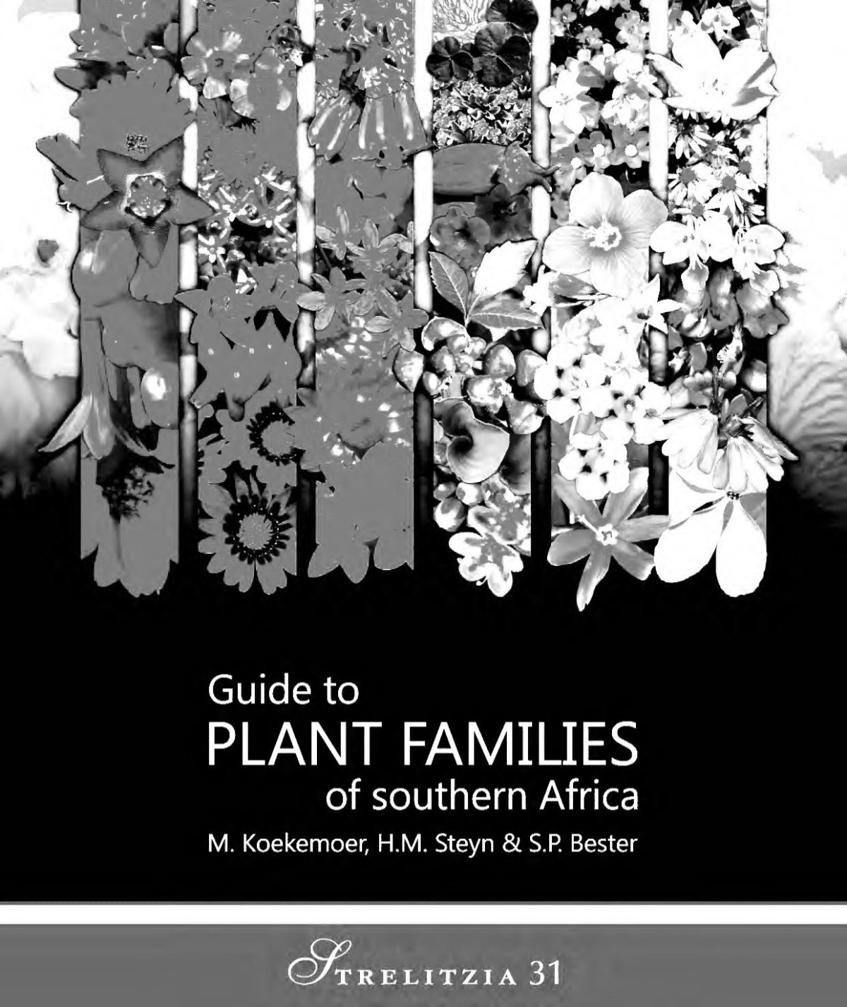 Guide To Plant Families Of Southern Africa M Koekemoerauthor