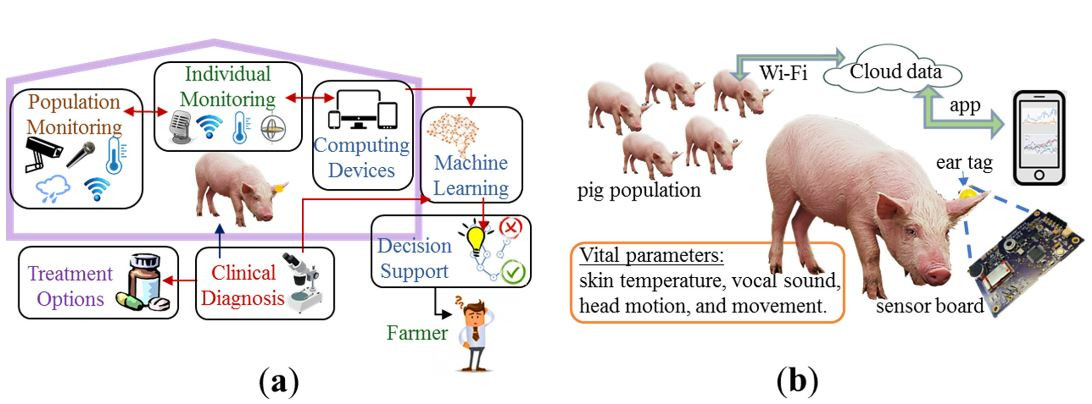 Behavioral Monitoring Tool For Pig Farmers Ear Tag Sensors Machine Intelligence And Technology Adoption Roadmap Santosh Pandey