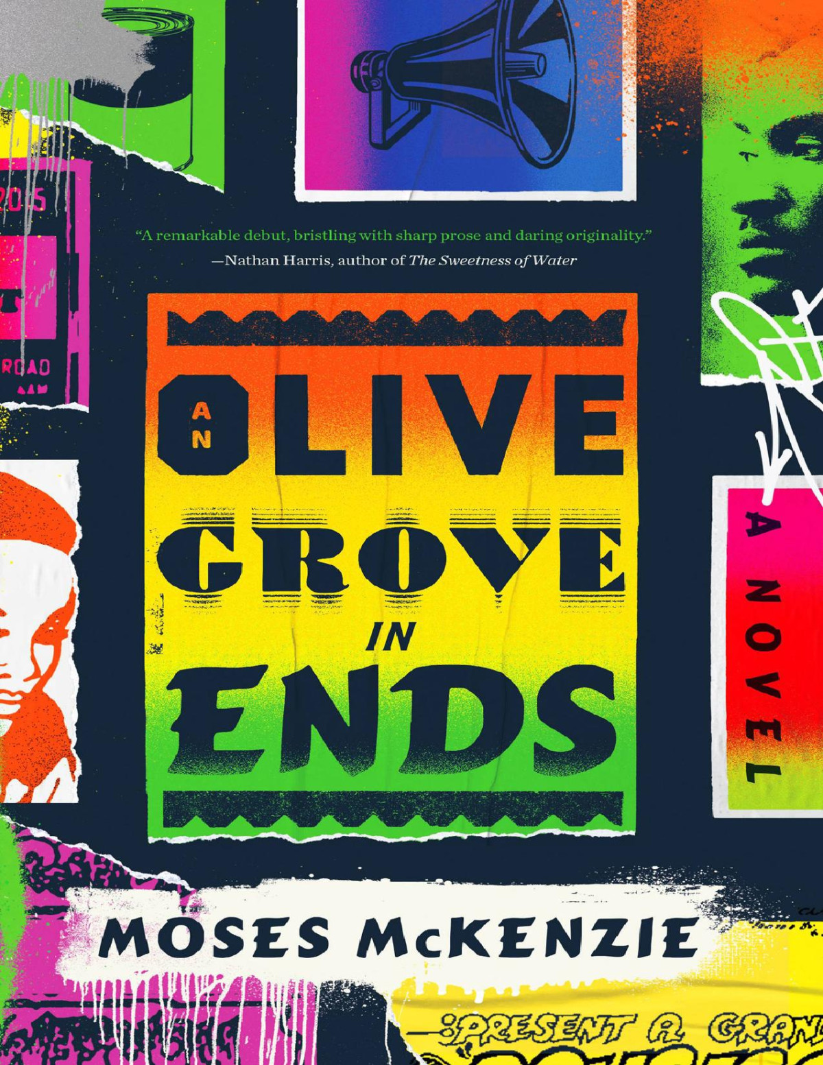 An Olive Grove In Ends Moses Mckenzie