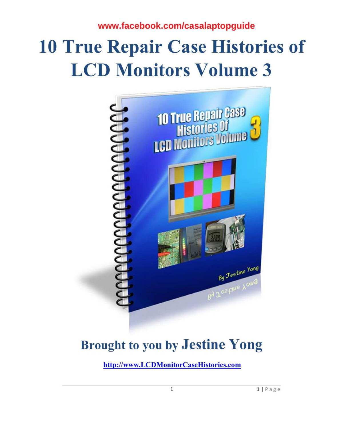 10 True Repair Case Histories Of Lcd Monitors Volume 3 Jestine Yong