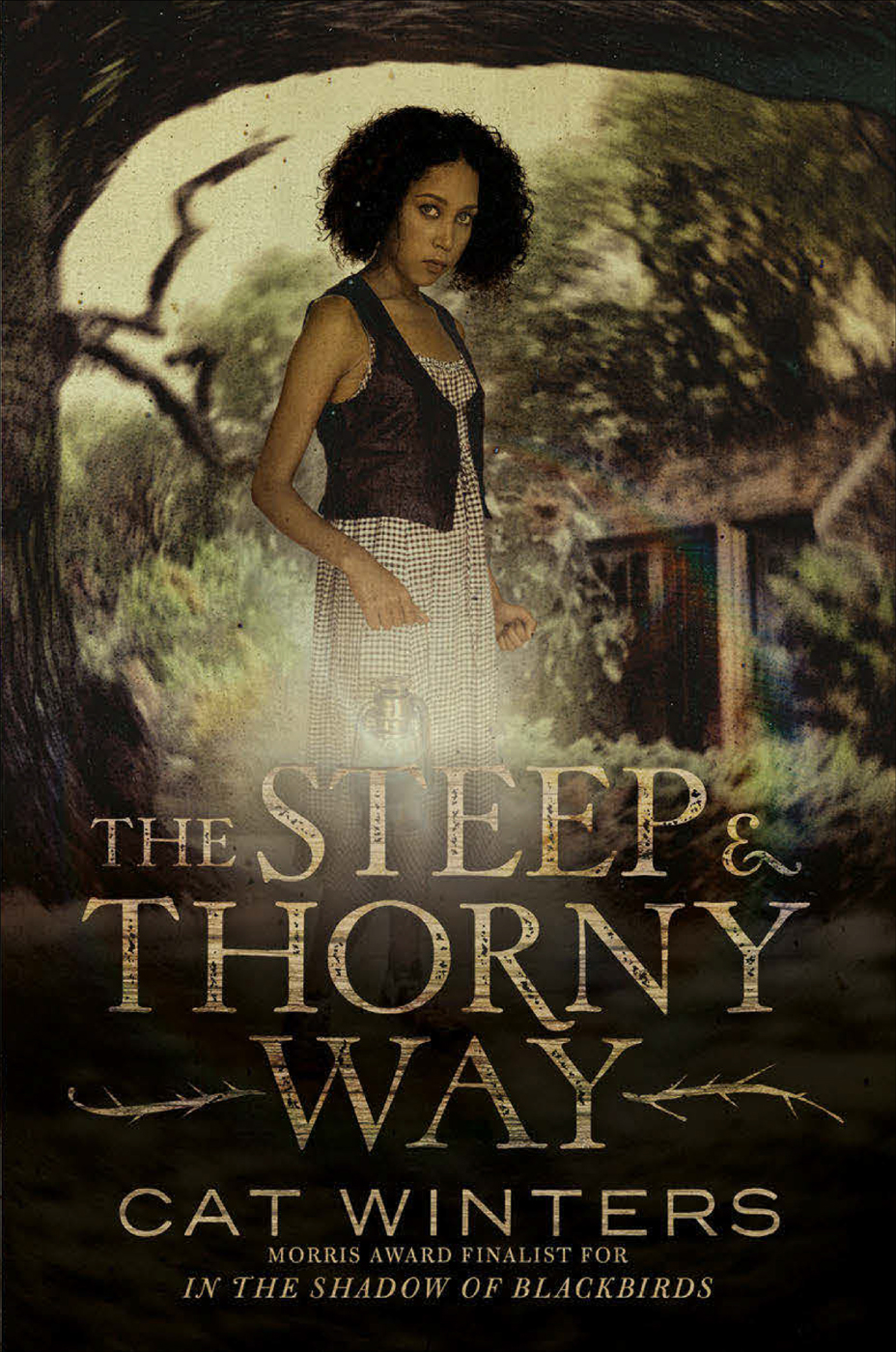 The Steep And Thorny Way Cat Winters