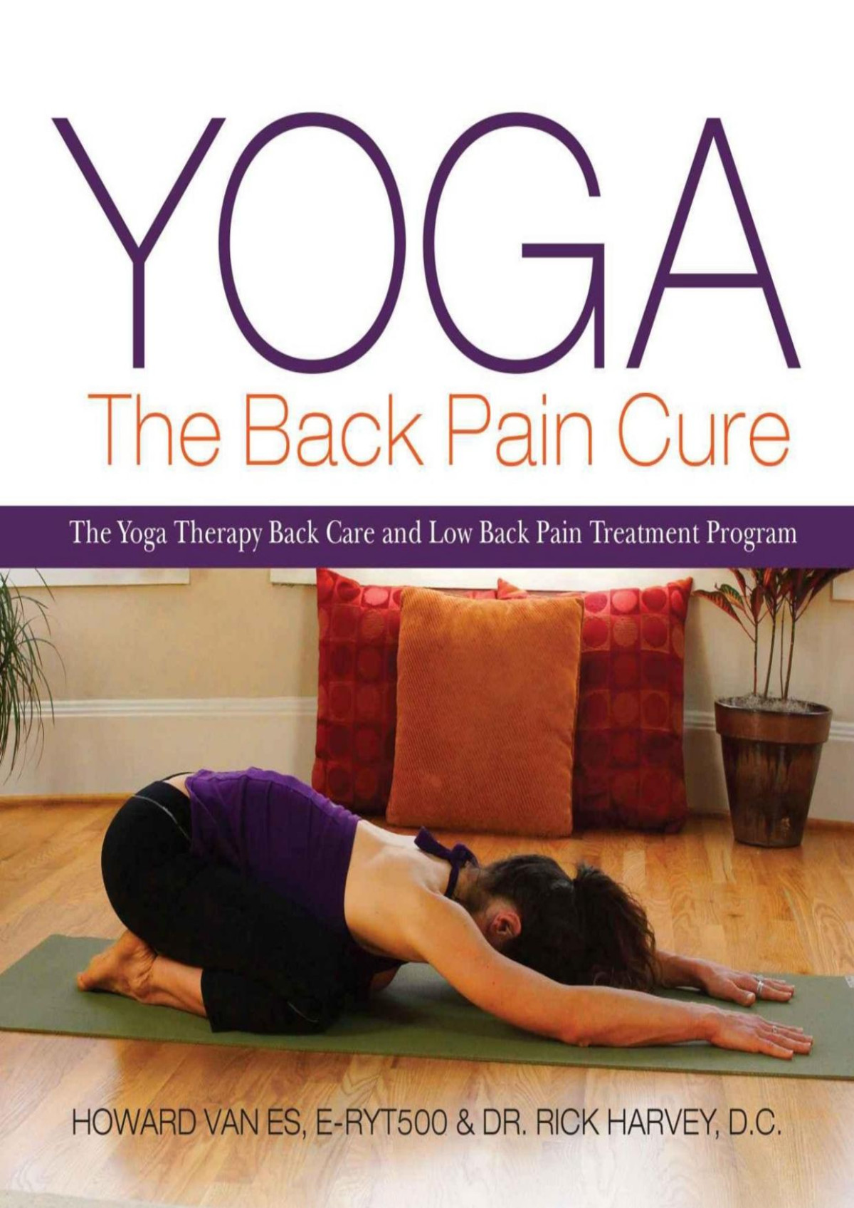 Yoga The Back Pain Cure The Yoga Therapy Back Care And Low Back Pain Treatment Program Howard Vanes