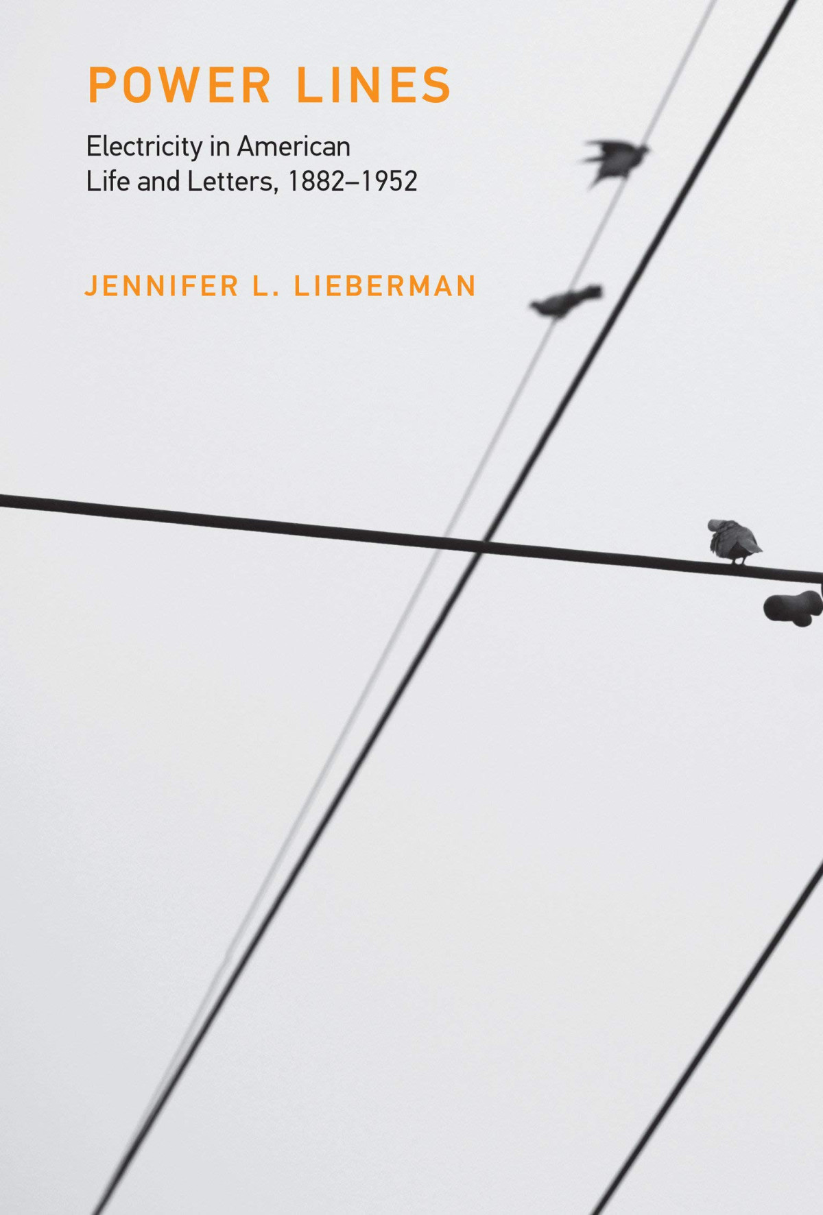 Power Lines Electricity In American Life And Letters 18821952 Jennifer L Lieberman