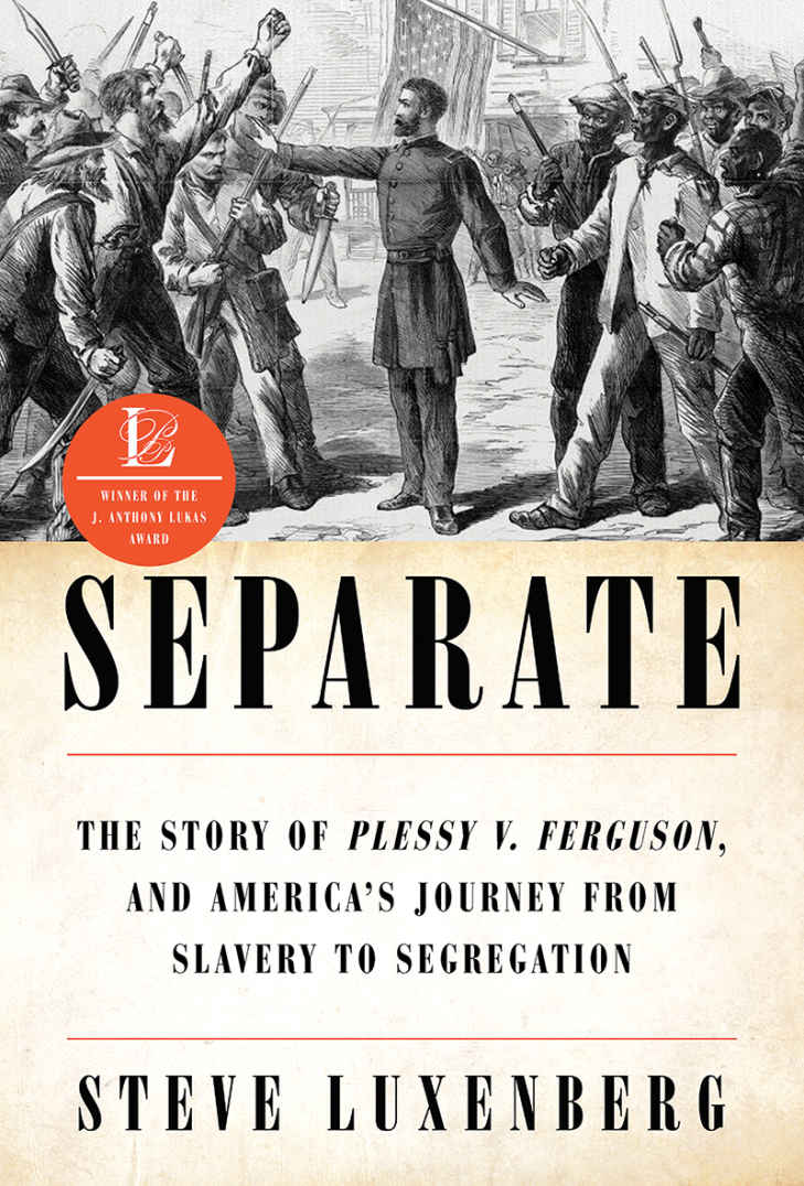 Separate The Story Of Plessy V Ferguson And Americas Journey From Slavery To Segregation Steve Luxenberg