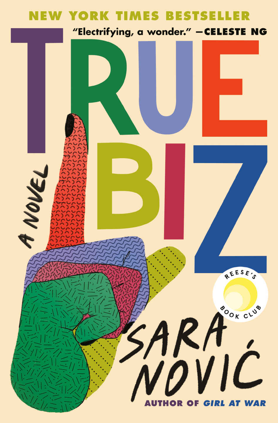 True Biz A Novel Sara Novic