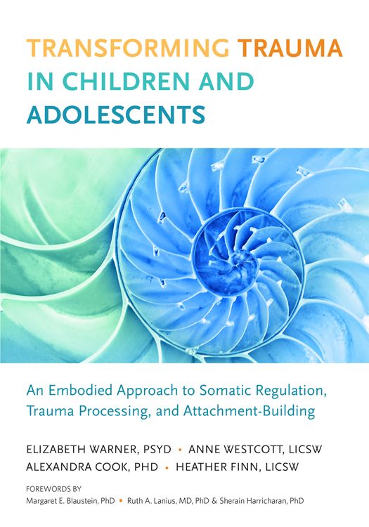 Transforming Trauma In Children And Adolescents Elizabeth Warner Heather Finn Anne Wescott Alexandra Cook