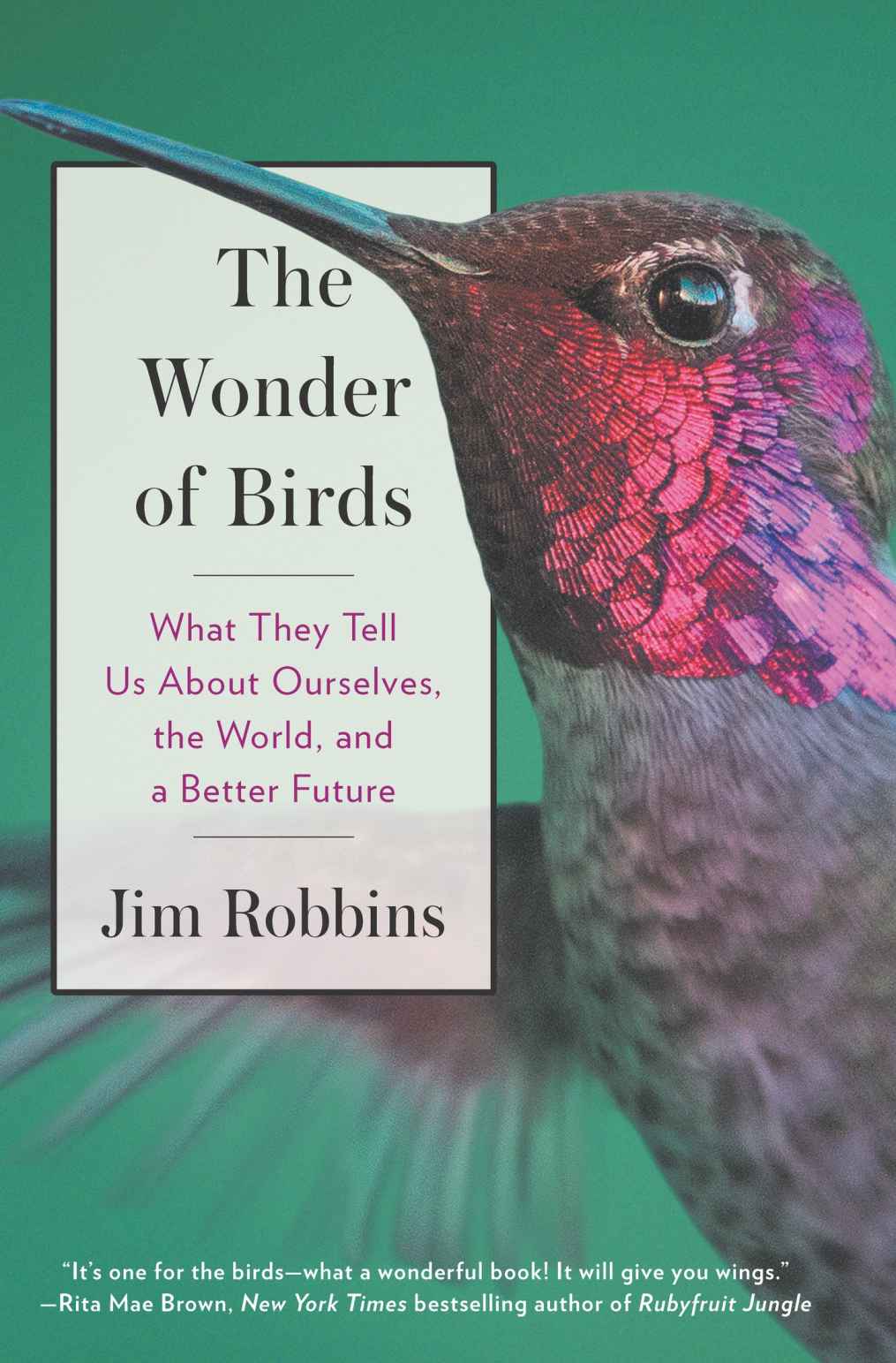 The Wonder Of Birds Jim Robbins