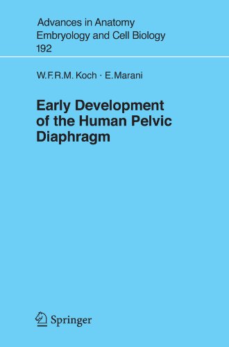 Early Development Of The Human Pelvic Diaphragm 1st Edition Wijnand F R M Koch