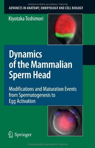 Dynamics Of The Mammalian Sperm Head Modifications And Maturation Events From Spermatogenesis To Egg Activation 1st Edition Kiyotaka Toshimori Auth