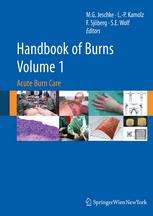 Handbook Of Burns Acute Burn Care Volume 1 1st Edition Dr Leopoldo C Cancio Md