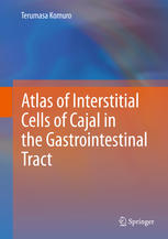 Atlas Of Interstitial Cells Of Cajal In The Gastrointestinal Tract 1st Edition Terumasa Komuro Auth