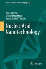 Nucleic Acid Nanotechnology 1st Edition Lei Liu Flemming Besenbacher
