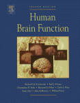 Human Brain Function Richard Sj Frackowiak Karl J Friston
