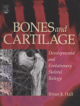 Bones And Cartilage Developmental And Evolutionary Skeletal Biology Brian K Hall Auth