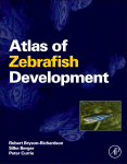 Atlas Of Zebrafish Development Robert Brysonrichardson Silke Berger And Peter Currie Auth