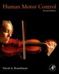 Human Motor Control David A Rosenbaum Auth