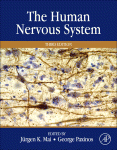 The Human Nervous System Juergen K Mai And George Paxinos Eds