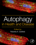 Autophagy In Health And Disease Roberta A Gottlieb Auth