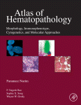 Atlas Of Hematopathology Morphology Immunophenotype Cytogenetics And Molecular Approaches Faramarz Naeim