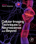 Cellular Imaging Techniques For Neuroscience And Beyond Wouterlood