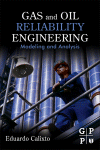 Gas And Oil Reliability Engineering Eduardo Calixto