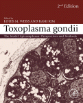 Toxoplasma Gondii The Model Apicomplexan Perspectives And Methods Louis M Weiss And Kami Kim Auth