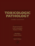 Haschek And Rousseauxs Handbook Of Toxicologic Pathology 3rd Edition 3rd Edition Wanda M Haschek