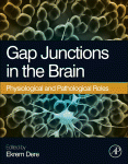 Gap Junctions In The Brain Ekrem Dere