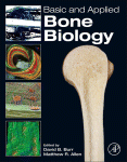 Basic And Applied Bone Biology David B Burr And Matthew R Allen Eds