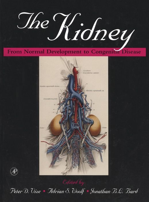 The Kidney From Normal Development To Congenital Disease Peter D Vize