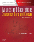 Wounds And Lacerations Emergency Care And Closure Charles S Kleinman And Istvan Seri Auth