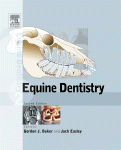 Equine Dentistry Gordon J Baker Bvsc Phd Mrcvs Diplomate Acvs