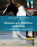 Color Atlas Of Diseases And Disorders Of The Foal Edited By Siobhan B Mcauliffe