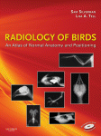 Radiology Of Birds An Atlas Of Normal Anatomy And Positioning Sam Silverman Dvm