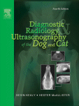 Diagnostic Radiology Ultrasonography Of The Dog And Cat Jkevin Kealy