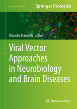 Viral Vector Approaches In Neurobiology And Brain Diseases 1st Edition Alessandro Papale