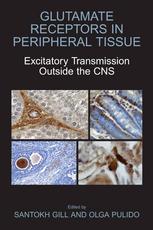 Glutamate Receptors In Peripheral Tissue Excitatory Transmission Outside The Cns 1st Edition Santokh Gill
