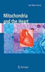 Mitochondria And The Heart 1st Edition Jos Marngarca Eds