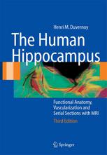 The Human Hippocampus Functional Anatomy Vascularization And Serial Sections With Mri Henri M Duvernoy Auth
