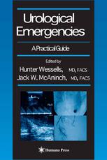 Urological Emergencies A Practical Guide Dan Rosenstein Nd Frcsc