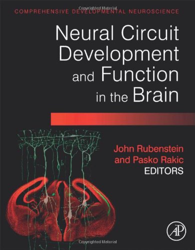 Neural Circuit Development And Function In The Healthy And Diseased Brain John Rubenstein
