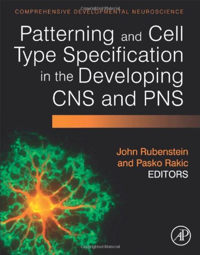 Patterning And Cell Type Specification In The Developing Cns And Pns Comprehensive Developmental Neuroscience John Rubenstein
