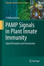 Pamp Signals In Plant Innate Immunity Signal Perception And Transduction 1st Edition P Vidhyasekaran Auth