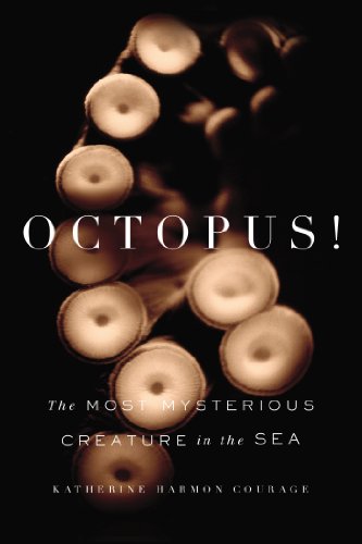 Octopus The Most Mysterious Creature In The Sea 1st Edition Katherine Harmon Courage