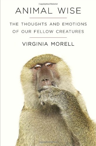 Animal Wise The Thoughts And Emotions Of Our Fellow Creatures Virginia Morell