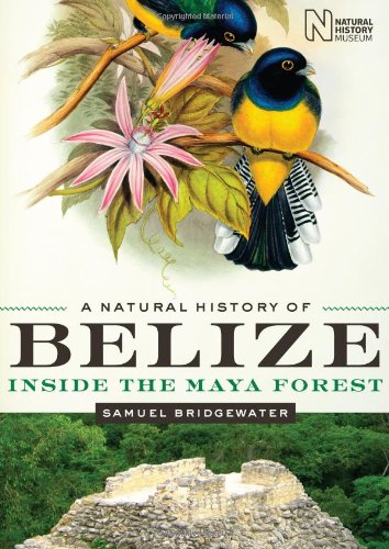 A Natural History Of Belize Inside The Maya Forest Samuel Bridgewater