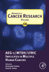 Aeg1mtdhlyric Implicated In Multiple Human Cancers Devanand Sarkar And Paul B Fisher Eds
