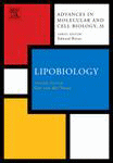 Nonneuronal Cells Of The Nervous System Function And Dysfunction Leif Hertz Eds