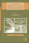 International Review Of Cell And Molecular Biology 293 Kwang W Jeon Eds