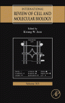 International Review Of Cell And Molecular Biology 303 Kwang W Jeon Eds